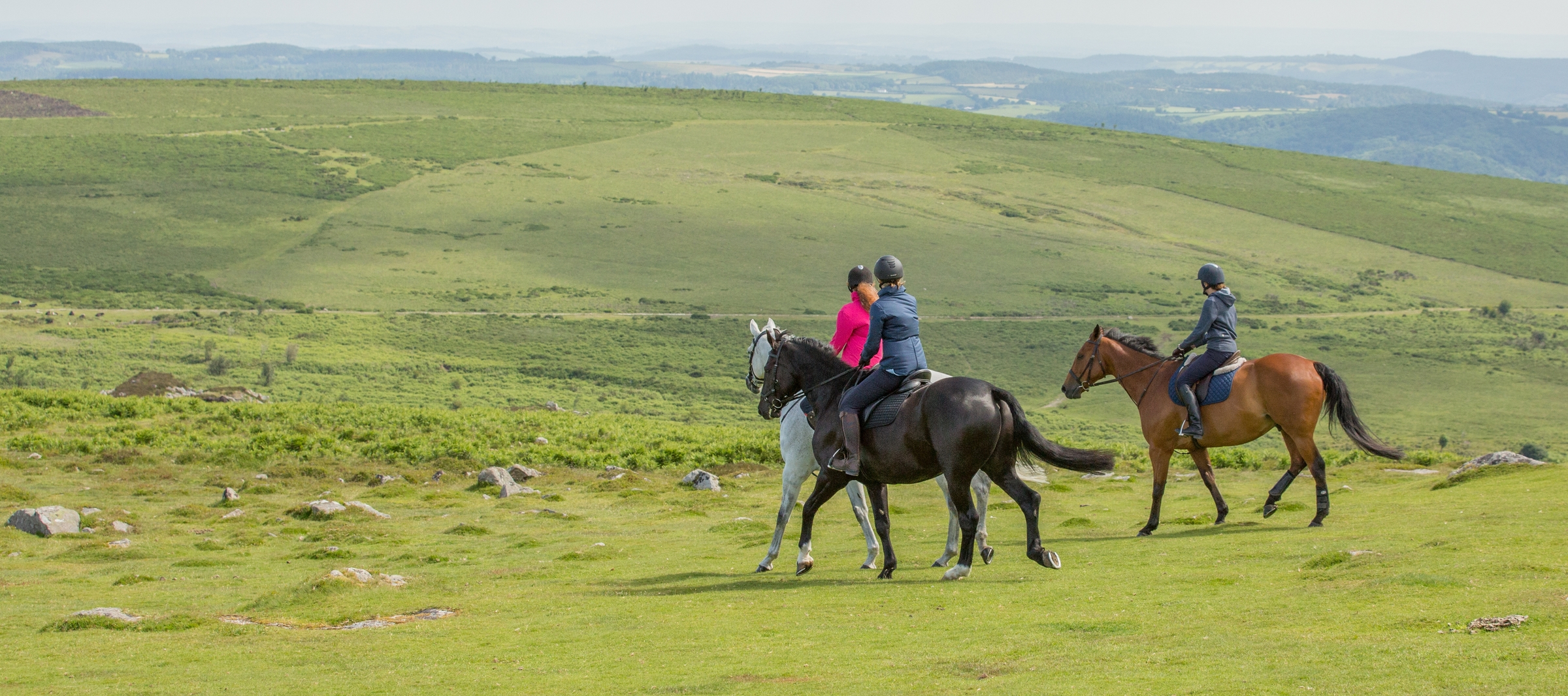 Dartmoor riding stables wins prestigious tourism award The Exeter Daily